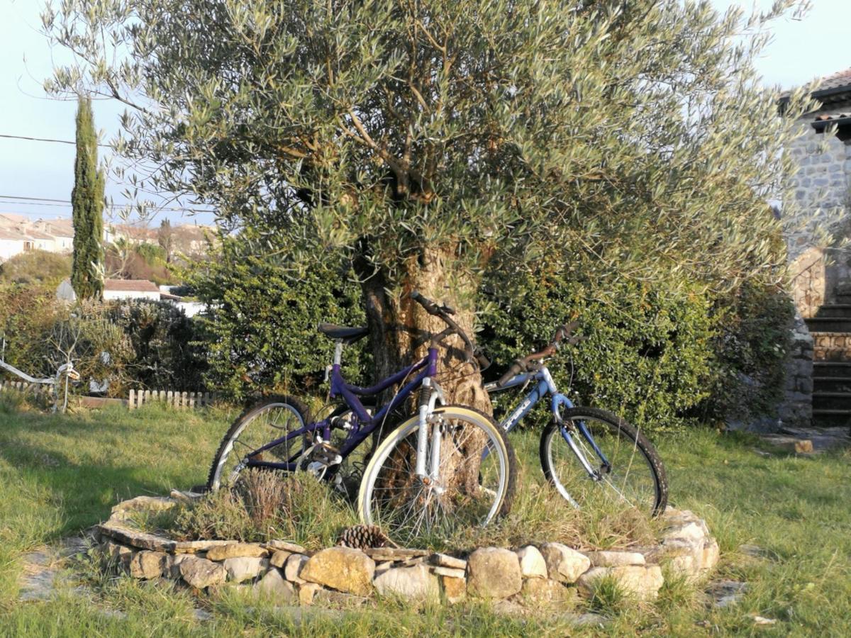 Montloubier Villa Villeneuve-de-Berg Luaran gambar