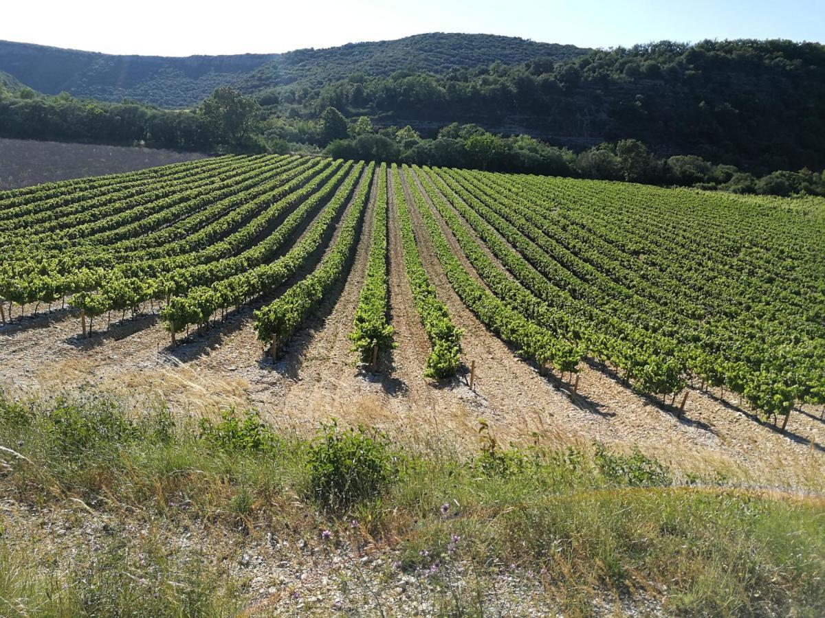 Montloubier Villa Villeneuve-de-Berg Luaran gambar