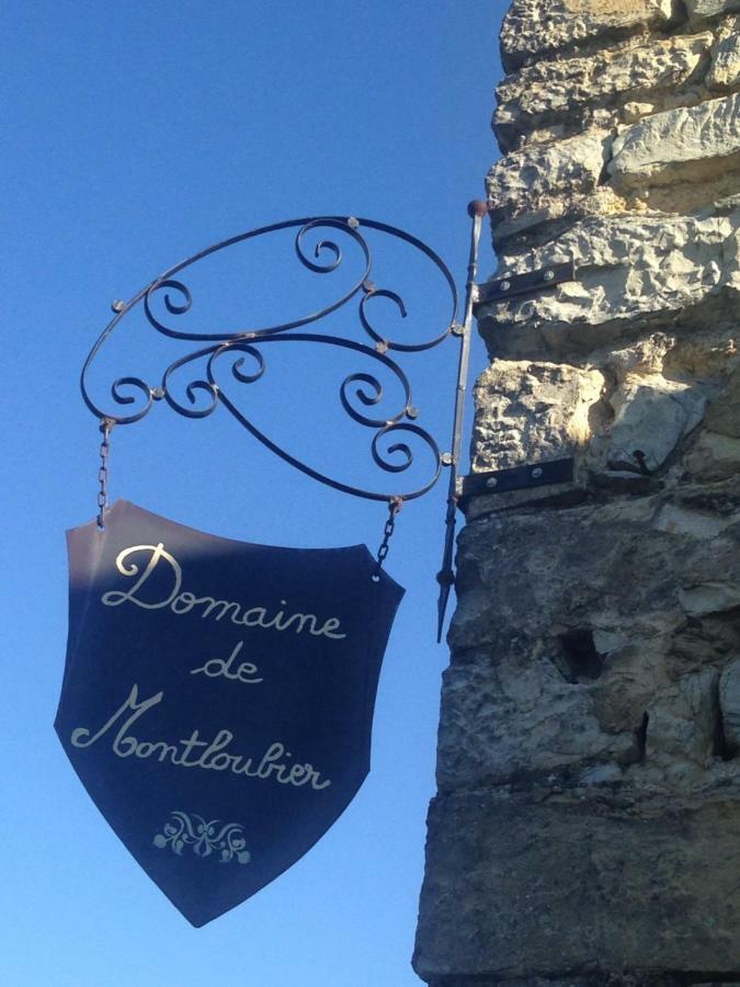 Montloubier Villa Villeneuve-de-Berg Luaran gambar